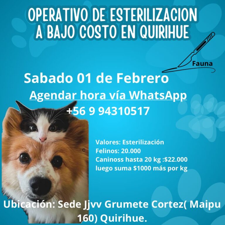 ¡OPERATIVO DE ESTERILIZACIÓN A BAJO COSTO EN QUIRIHUE!