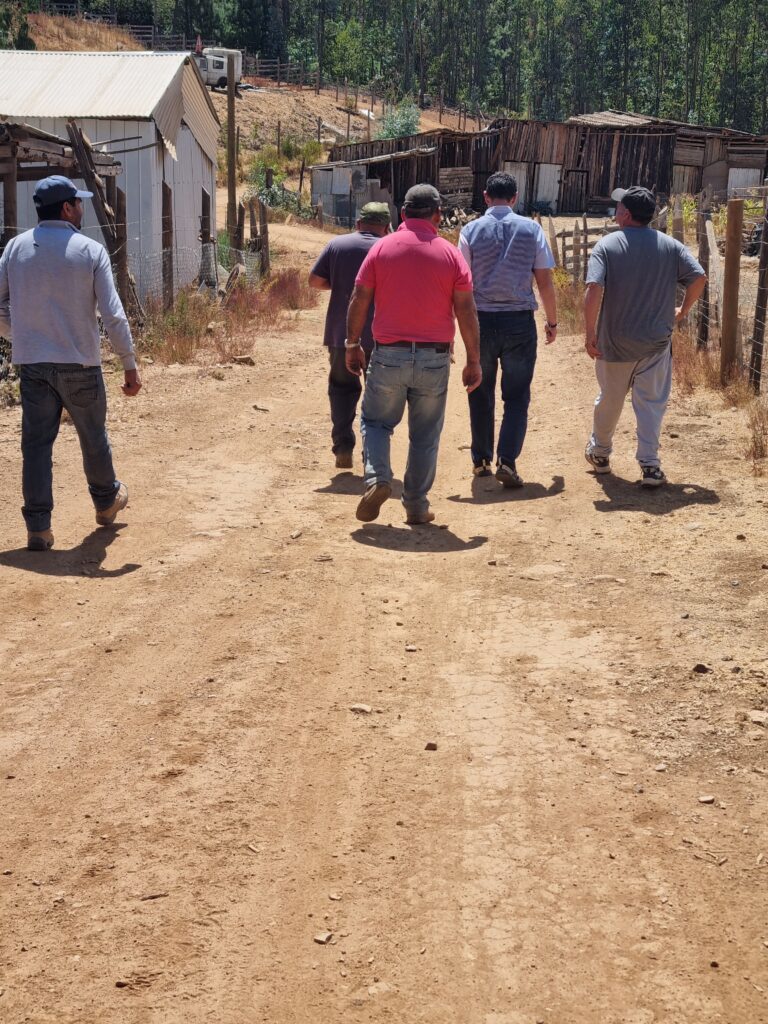 En Terreno Junto a Vecinas y Vecinos de Las Heras