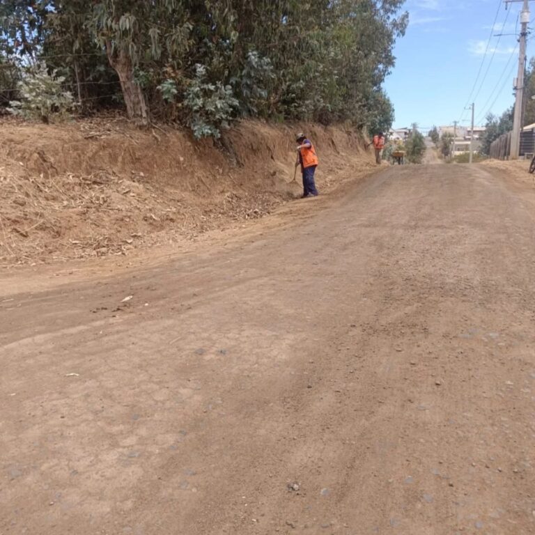Limpieza de Faja en Calle Carlos Montané