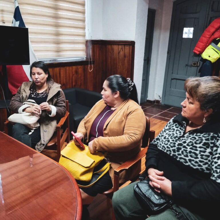 Nueva directiva Junta de Vecinos Altos de Quirihue.