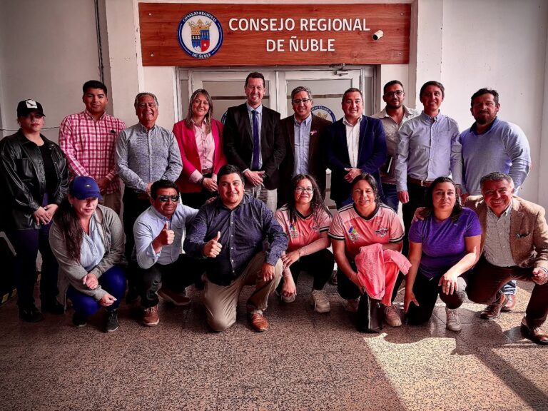 Proyecto de Campeonato Provincial de Fútbol Femenino avanza en el Consejo Regional