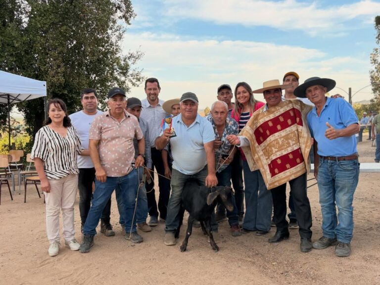 Fiesta del Vino y las Colchanderas de Pachagua.