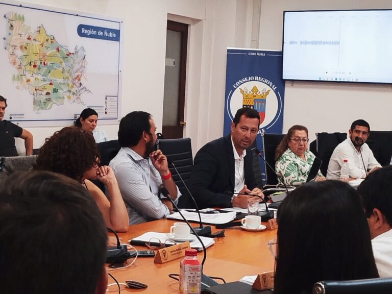 Alcalde Redlich expone ante consejo regional
