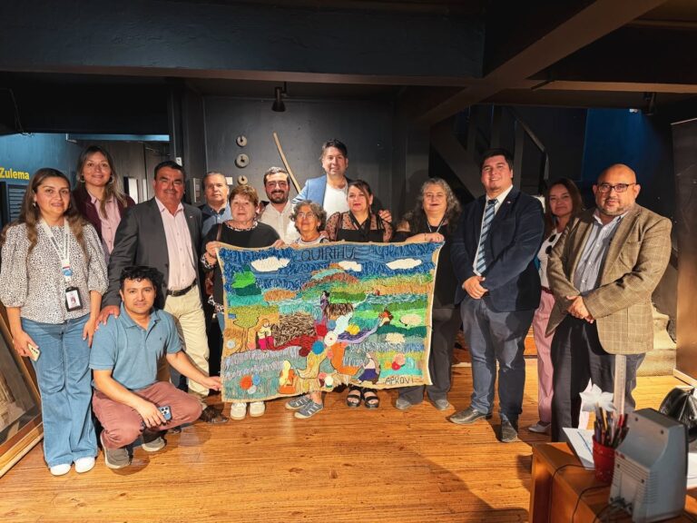 Entrega oficial del bordado en arpillera a cinco artesanas de Quirihue