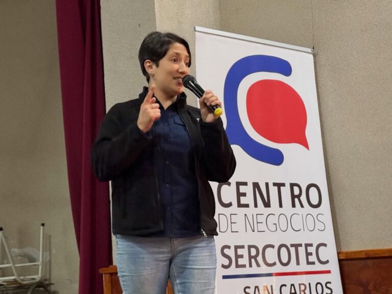 Emprendedoras de Quirihue participaron en capacitación para postular a proyectos de SERCOTEC.