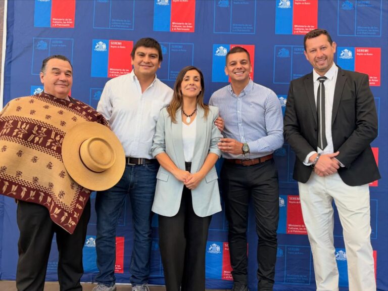 “Creación y Fortalecimiento de la Red de Gestión en el Ecosistema Creativo 2025”, liderada por seremi de Cultura