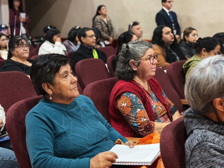 Inicio a las jornadas de capacitación y postulación a los Fondos Segegob 2026