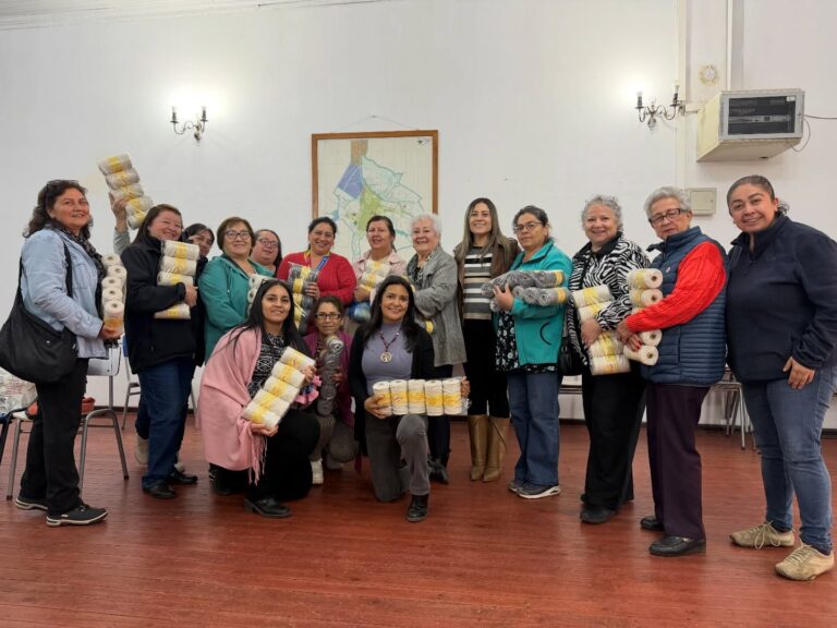 ENTREGA DE INSUMOS A UNIÓN COMUNAL DE MUJERES