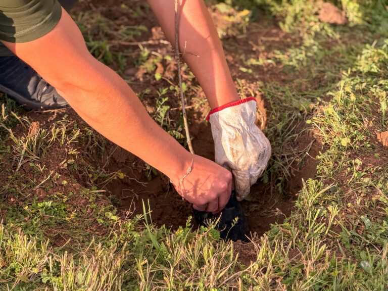COMPROMISO COMUNITARIO CON EL MEDIO AMBIENTE