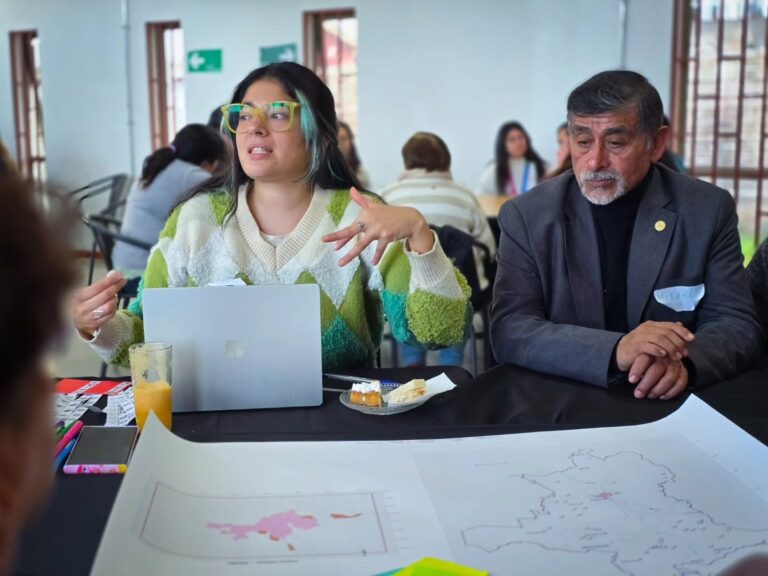 REALIZAN DIAGNÓSTICO DE PLAN DE ACCIÓN COMUNAL DE CAMBIO CLIMÁTICO EN QUIRIHUE