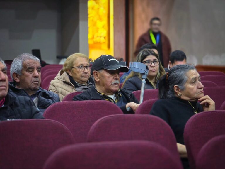 PARTICIPACIÓN CIUDADANA PARA IMPULSAR PROYECTOS DE REPOSICIÓN DE LUMINARIAS EN QUIRIHUE